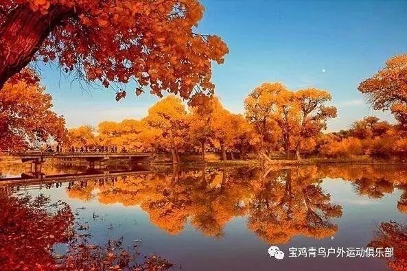 卡通摩托拼图
