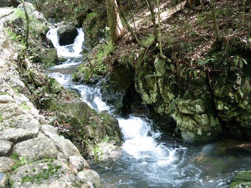 七里河区:烟花爆竹“打非治违” 严守岁末年初“安全关”
